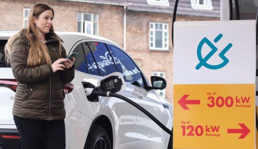 elladestander-shell-crop